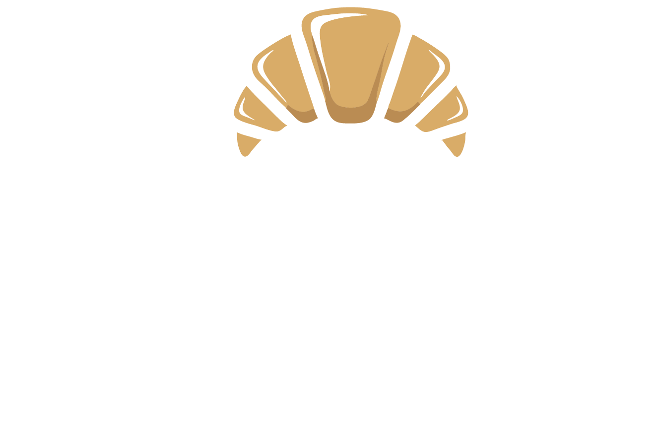 diamond pastry mckinney logo white png